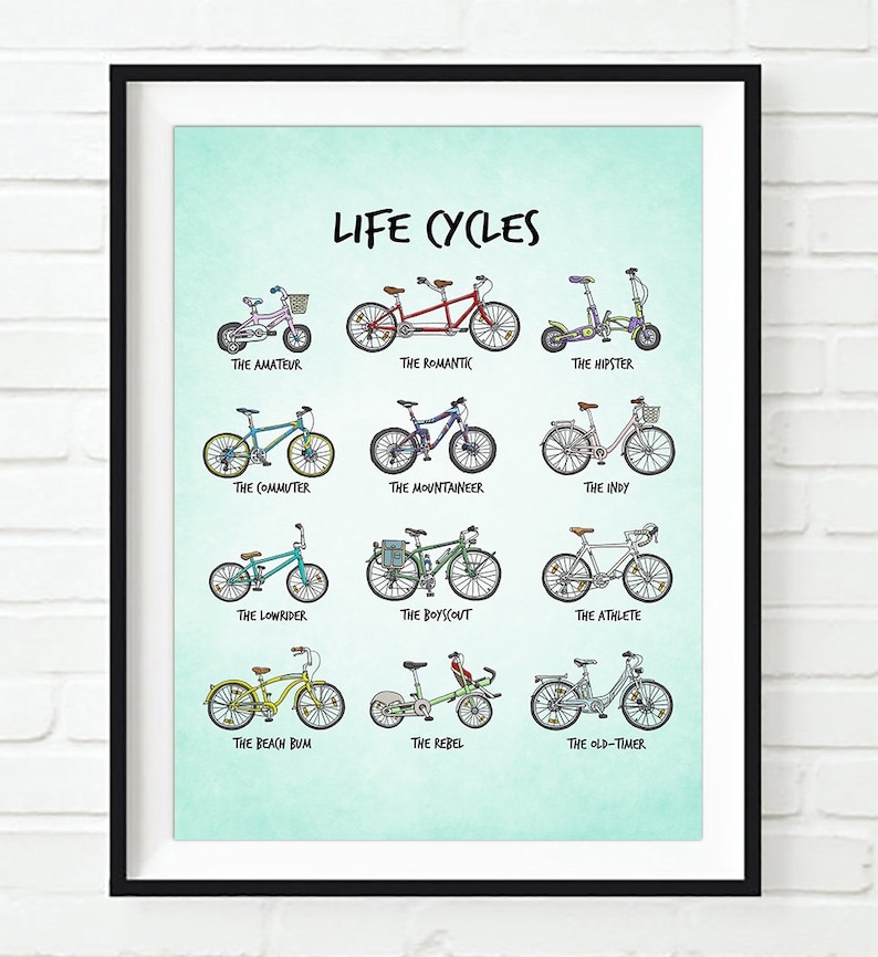 May include: A light blue poster with the title "Life Cycles" and illustrations of different types of bicycles. Each bicycle is labelled with a descriptive name, such as "The Amateur", "The Romantic", "The Hipster", and "The Old-Timer".
