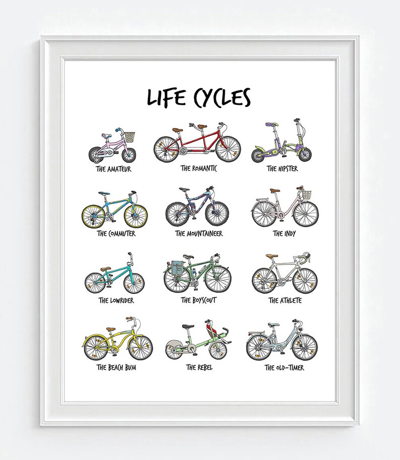 May include: A colourful illustration of different types of bicycles, each representing a stage of life. The illustration is titled "Life Cycles" and includes labels for each bicycle, such as "The Amateur", "The Romantic", "The Hipster", "The Commuter", "The Mountaineer", "The Indy", "The Lowrider", "The Boy Scout", "The Athlete", "The Beach Bum", "The Rebel", and "The Old-Timer".