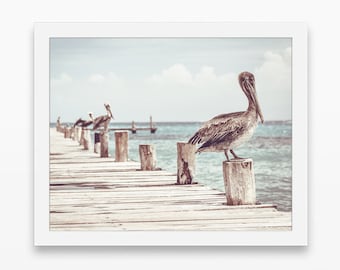 Pelicans on Beach Dock Pier Boardwalk Fine Art Photography PRINT or CANVAS, Coastal beach nautical home wall decor, All Sizes