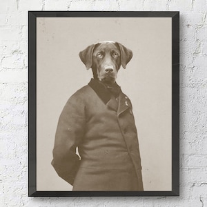 Chocolate Labrador Retriever Gentleman vintage portrait photography pet print - UNFRAMED - funny dog home and wall decor, All Sizes