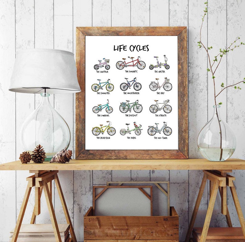 May include: A white poster with the title "LIFE CYCLES" and illustrations of different types of bicycles, each labelled with a humorous name like "The Amateur", "The Commuter", "The Mountain Bike", "The Old-Timer", and more.