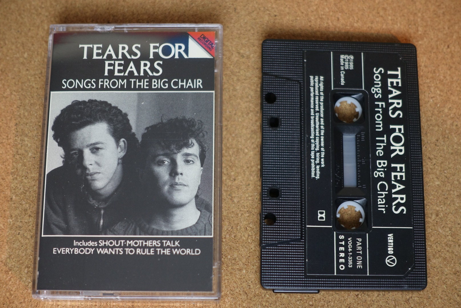 Everybody Wants to Rule the World by Tears for Fears Vintage Song