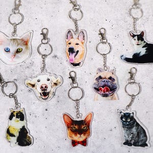 May include: A collection of acrylic keychains featuring various dog and cat breeds. Each keychain has a metal ring and clasp. The pets are depicted in full color, with detailed facial features and expressions. The background is a light gray.