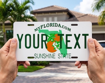 Custom License Plate Personalized Aluminum State Car Tag 6x12