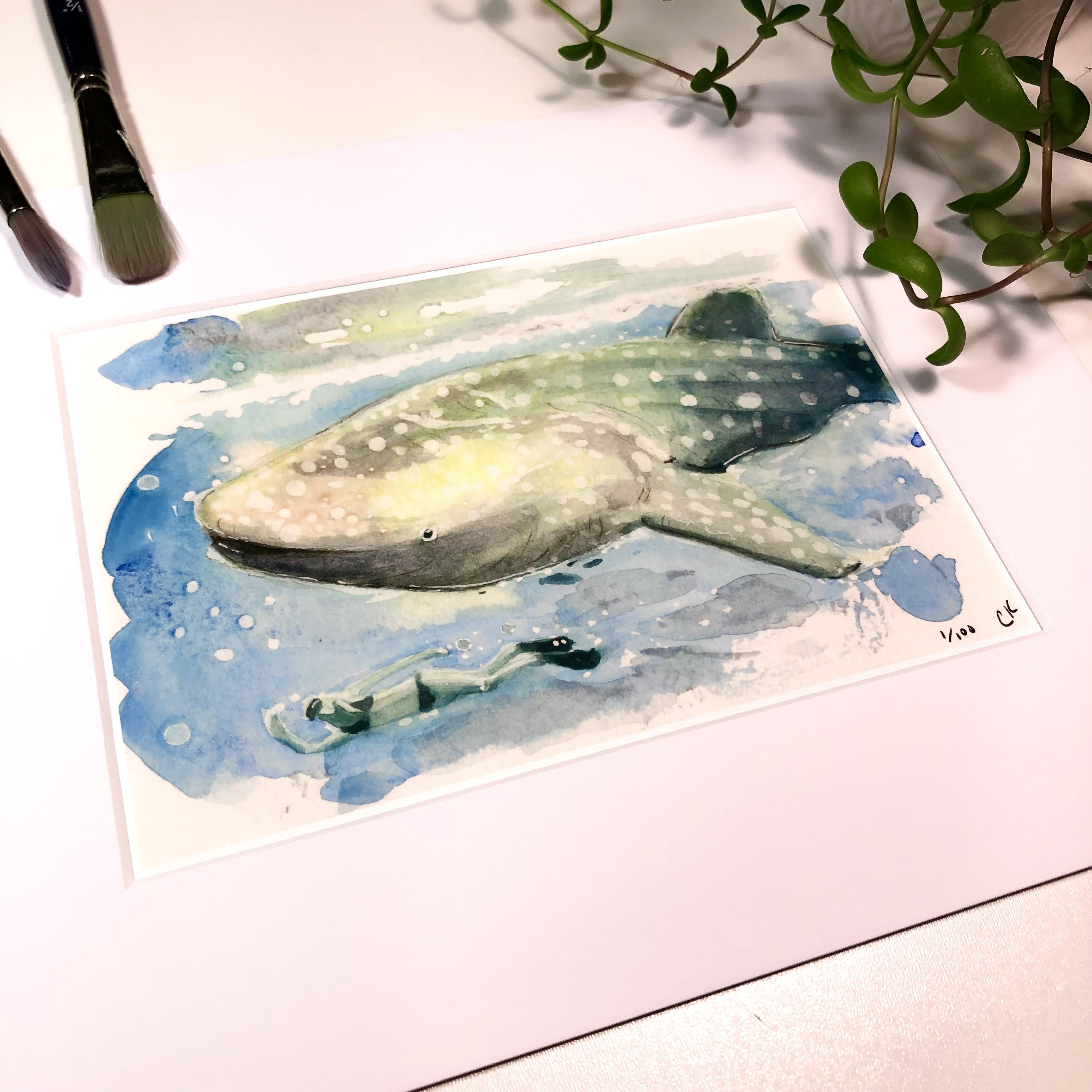 Whale Shark Wall Art Ocean Watercolor Painting Print - Etsy