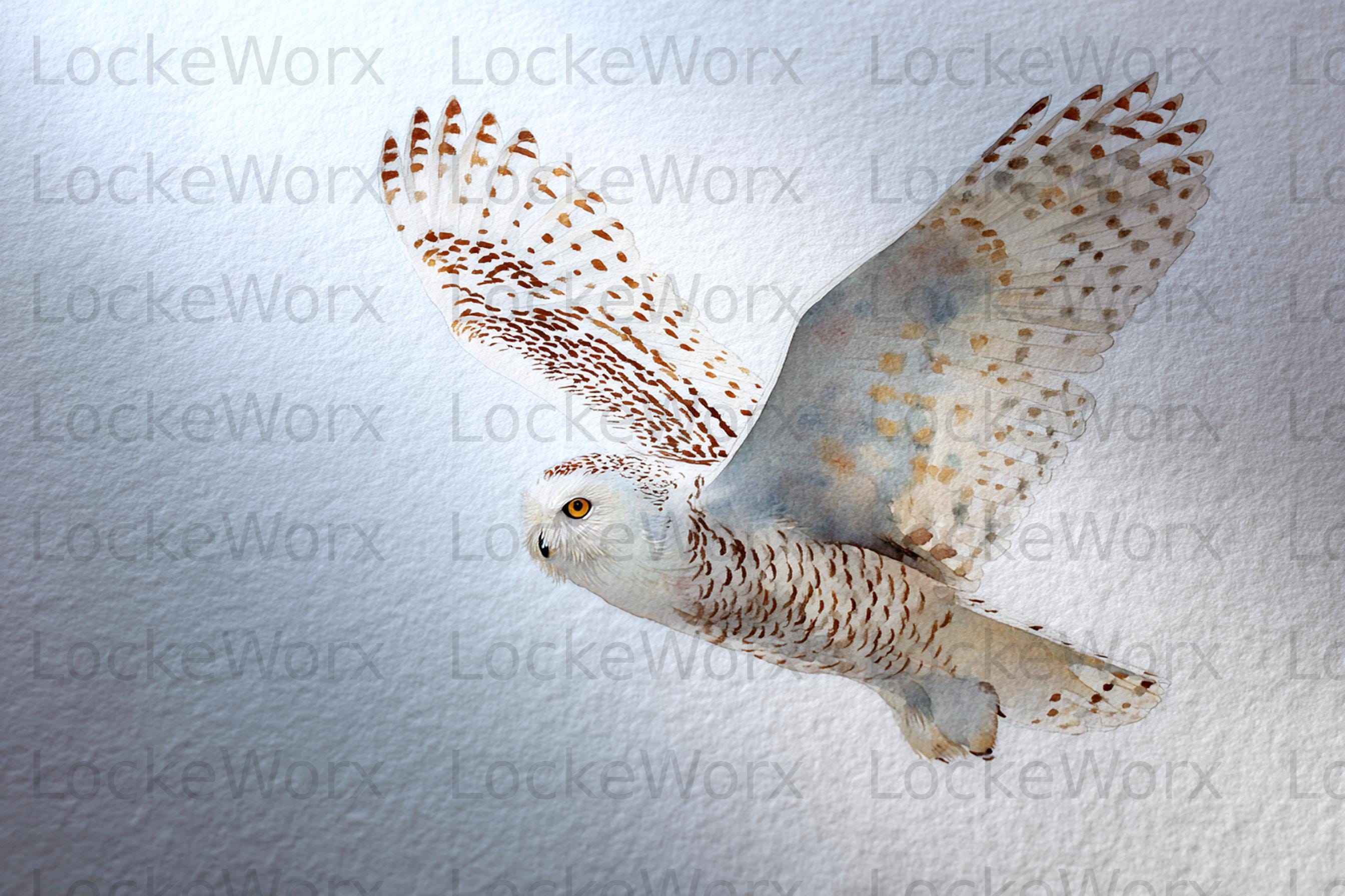 Hand Painted Snowy Owl Fine Art Print - Arctic Wildlife Illustration - Nature Wall Art - Bird Artwor