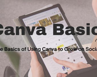 Mini-cours Canva Basics PLR : guide numérique modifiable (téléchargement instantané)