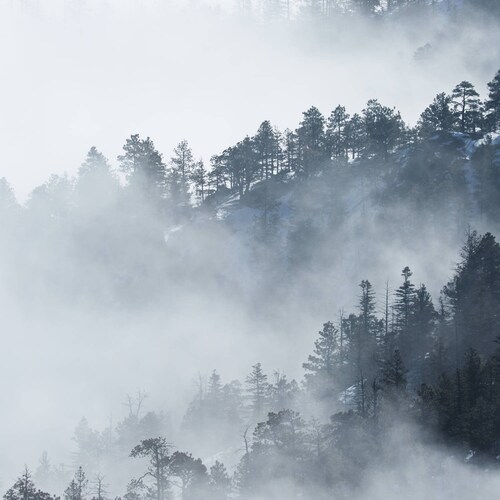 Fog shops of Ages