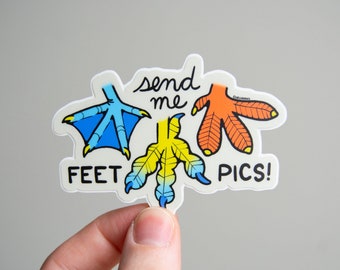 Send Me Feet Pics - 3" Vinyl Sticker, Matte Durable Weatherproof Vinyl Decal, bird Illustration, american coot, grebe, blue footed booby