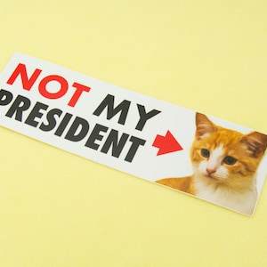 Not MY President Kitten 10 Bumper Sticker for Cat Lovers, durable weatherproof matte vinyl, funny political sticker image 2