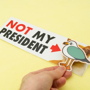 Not MY President Kitten 10 Bumper Sticker for Cat Lovers, durable weatherproof matte vinyl, funny political sticker image 4