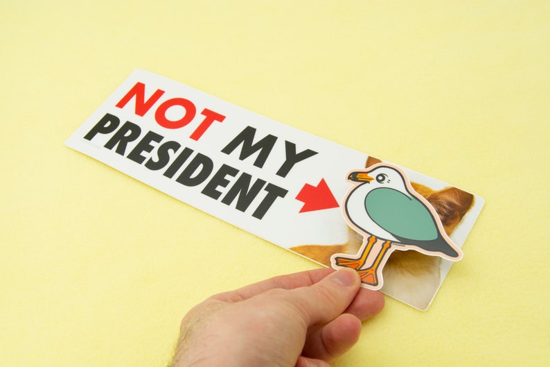 Not MY President Kitten 10 Bumper Sticker for Cat Lovers, durable weatherproof matte vinyl, funny political sticker image 4