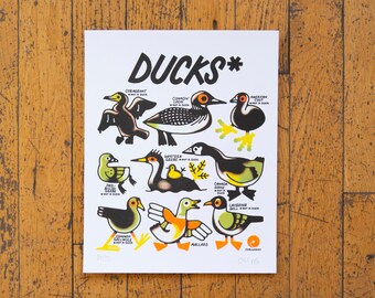 Ducks Risograph Print - 8in x 10in 4 Color Print on Cardstock, not a duck