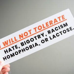 I WILL NOT TOLERATE: Hate, Bigotry, Racism, Homophobia, or Lactose.  - Matte Vinyl 10" Bumper Sticker - Car Decal,