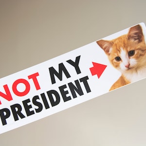 Not MY President Kitten 10 Bumper Sticker for Cat Lovers, durable weatherproof matte vinyl, funny political sticker image 1