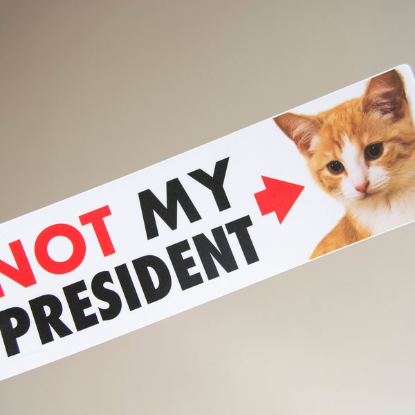 Not MY President (Kitten) - 10" Bumper Sticker for Cat Lovers, durable weatherproof matte vinyl, funny political sticker