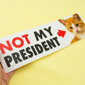 Not MY President Kitten 10 Bumper Sticker for Cat Lovers, durable weatherproof matte vinyl, funny political sticker image 3