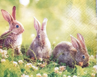ACEO Limited Edition-Cottontails in the clovers Rabbits Cute bunny Gift idea