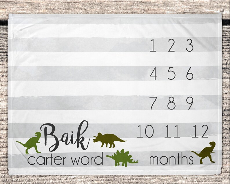 Baby Milestone Blanket Baby Month Blanket Dinosaur Milestone Blanket Milestone Blanket Boy Personalized Milestone Blanket