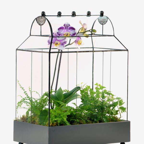 H Potter Terrarium Curved Glass Large Wardian Case Container, Fairy Garden House, Unique Gift Idea, Orchid, Succulent, Ivy, Moss Planter