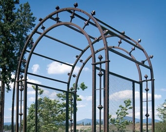 Outech Metal Black Rose Arch Lawn Terrace Courtyard Wedding Decoration 1.2x2.2m Heavy Duty Garden Arches with Base Suitable For Climbing Plants Backyard Outech Metal Black Rose Arch Lawn Terrace Courtyard Wedding Decoration 1.2x2.2m Heavy Duty Garden Arches with Base Suitable For Climbing Plants Backyard