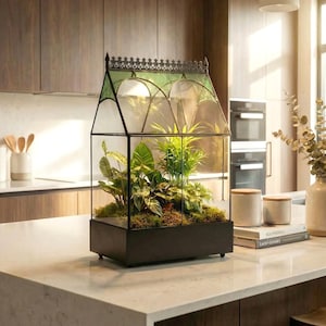 H Potter Glass Terrarium Container Indoor 18" Tall Planter Wardian Case Glasshouse Mother's Day Gift Idea - Wedding Gift or Card Box bild 1