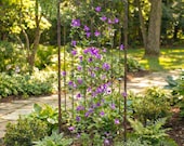 H Potter 6 ft Garden Trellis Freestanding with Ground Stakes, Heavy Duty Iron Scroll Trellis, Outdoor Climbing Plant Support, Privacy Screen