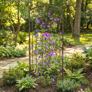May include: A decorative, wrought-iron garden trellis with a rectangular frame and ornate scrollwork at the top. The trellis is covered in vibrant purple flowering vines, set against a backdrop of lush greenery and a stone pathway.