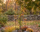 H Potter 60" Garden Trellis for Climbing Plants β Heavy Duty Metal Trellis, 20" Wide Iron Garden Decor for Vines & Flowers