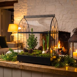 May include: A black metal terrarium with a glass arched roof and a rectangular base. Inside, a small evergreen tree, two green plant bulbs, and two pinecones are nestled in a bed of green moss. The structure features a decorative metal trim.