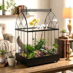 May include: A black metal and glass terrarium with a decorative arched top. Inside, yellow and white orchids and various plants are arranged with a piece of driftwood. The terrarium sits on a wooden table.
