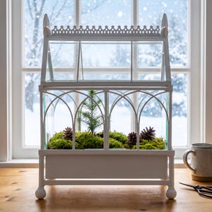 H Potter Glass Terrarium | 17" Wardian Case | Indoor Greenhouse | Orchid & Succulent Planter