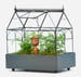 H Potter Plant Terrarium Container, Large Glass Wardian Case, Indoor Planter, Kid Project, Unique Gift, Home Decor, Orchids, Ferns, Ivy 