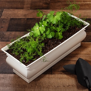 H Potter Planter Box Rectangular Planter Pot Succulent Planter Herb Planter Flower Garden - Indoor Outdoor - Unique Mother&#39;s Day Gift