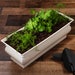 H Potter - Planter Box - Planter Pot - Rectangular Succulent Herb Flower Garden - Indoor Outdoor - Christmas Gift - Centerpiece - Home Decor 