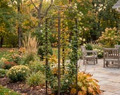 H Potter 90" Garden Obelisk Trellis | Heavy Duty Iron Trellis for Climbing Roses & Clematis
