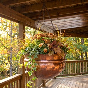 May include: A large, round, polished copper hanging planter suspended by a dark metal chain. The planter is filled with a vibrant arrangement of orange and yellow chrysanthemums, trailing green ivy, and ornamental grasses with golden-brown tones.