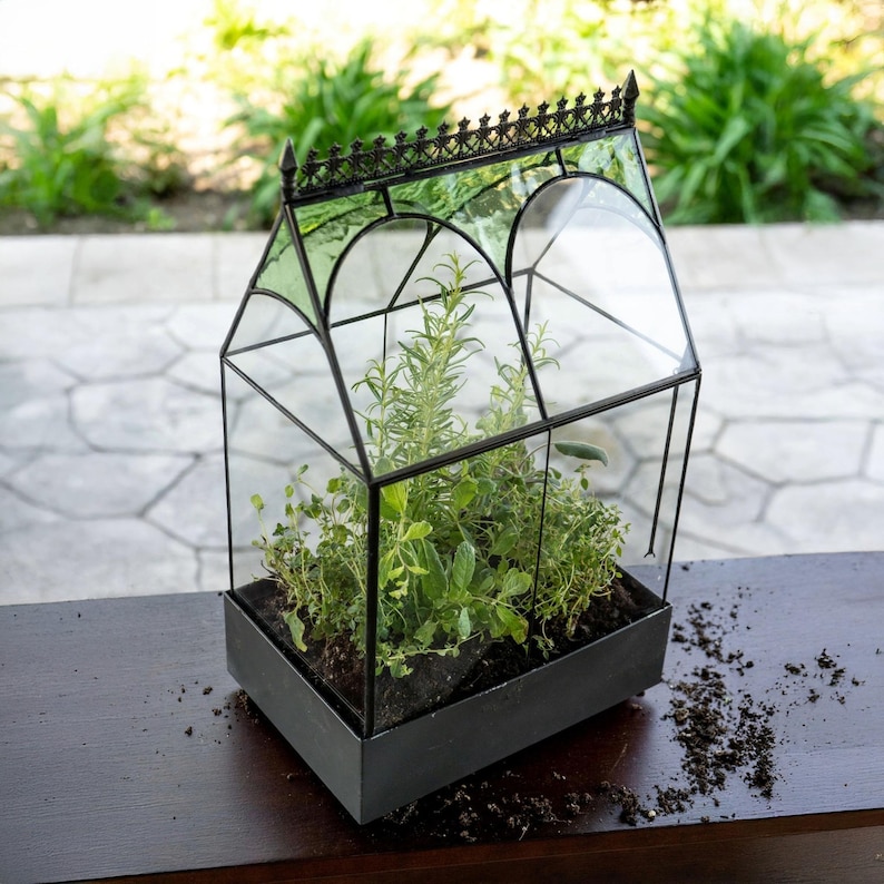 H Potter Glass Terrarium Container Indoor 18" Tall Planter Wardian Case Glasshouse Mother's Day Gift Idea - Wedding Gift or Card Box bild 3