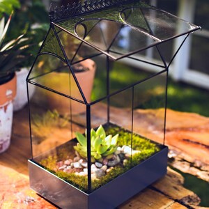 H Potter Glass Terrarium Container Indoor 18" Tall Planter Wardian Case Glasshouse Mother's Day Gift Idea - Wedding Gift or Card Box bild 5