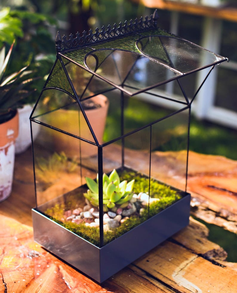 H Potter Glass Terrarium Container Indoor 18" Tall Planter Wardian Case Glasshouse Mother's Day Gift Idea - Wedding Gift or Card Box bild 5