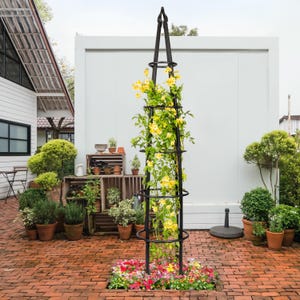 May include: A black metal trellis with yellow flowers growing up it. The trellis is in a garden setting with brick pavers and potted plants.