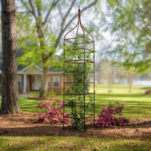 May include: A tall, metal garden trellis with a pointed top. The trellis is made of square metal bars and has a rust-colored finish. A vine is growing up the trellis, and there are pink flowers in the foreground.