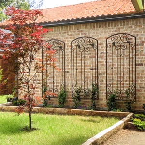 May include: Three black metal trellises with a decorative scroll design are mounted on a brick wall. The trellises are spaced evenly apart and are surrounded by green plants.