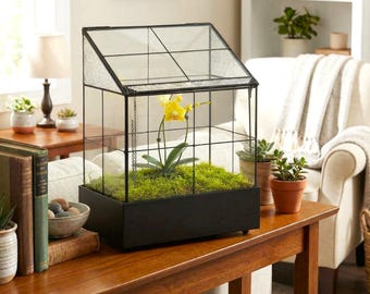 H Potter Glass Terrarium - Large Wardian Case Planter for Succulents, Moss, Herbs - Unique Indoor Garden Decor - Gift Idea