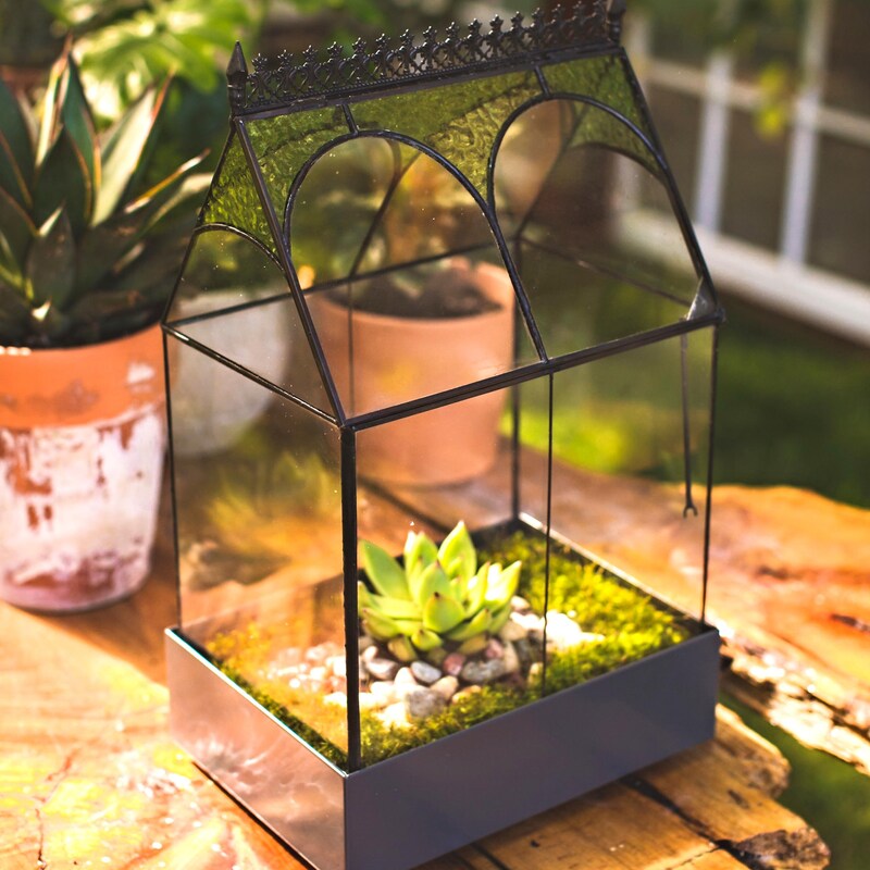 Terrarium Containers - Etsy