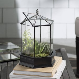 H Potter Terrarium - Six Sided Glass Herb Container, Succulent Garden Planter, Wardian Case, Glasshouse, Unique Mother's Day Gift Idea