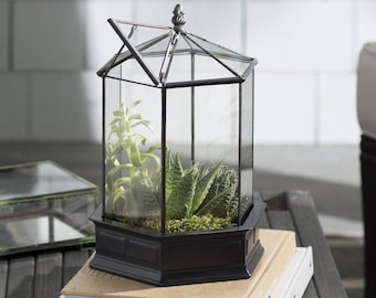 H Potter Terrarium - Six Sided Glass Herb Container, Succulent Garden Planter, Wardian Case, Glasshouse, Unique Mother's Day Gift Idea