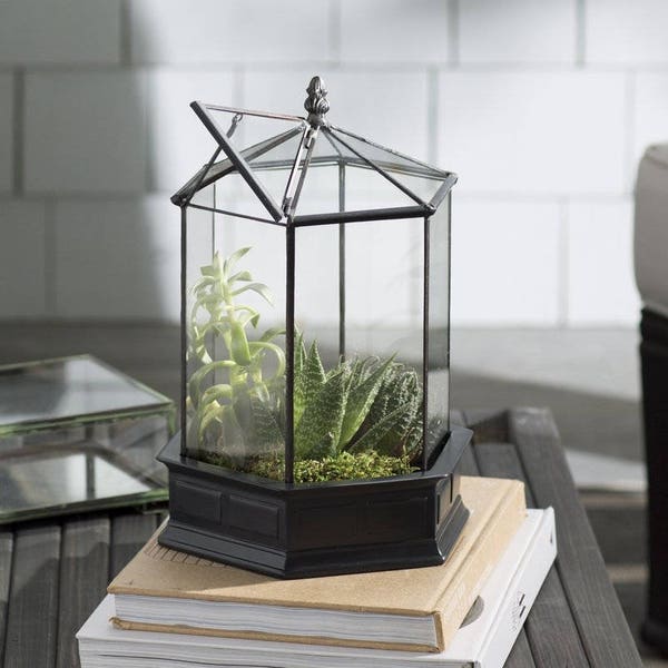 H Potter Terrarium - Six Sided Glass Herb Container, Succulent Garden Planter, Wardian Case, Glasshouse, Unique Mother's Day Gift Idea