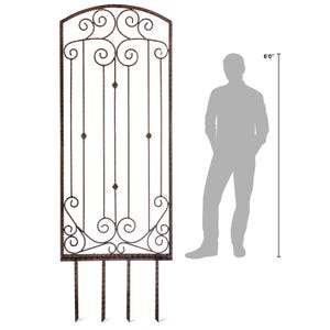 Pu&ograve; includere: Un alto traliccio da giardino rettangolare in metallo marrone con parte superiore ad arco, volute decorative e barre verticali con piccoli accenti circolari. La struttura include quattro picchetti appuntiti ed &egrave; alta 183 cm.