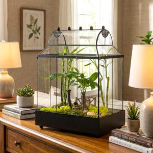 May include: A black metal and glass terrarium with a hinged roof, housing a miniature garden with green plants, moss, and small decorative elements. The terrarium sits on a wooden table, with lamps and books in the background.